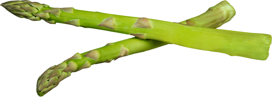 Fresh Asparagus  