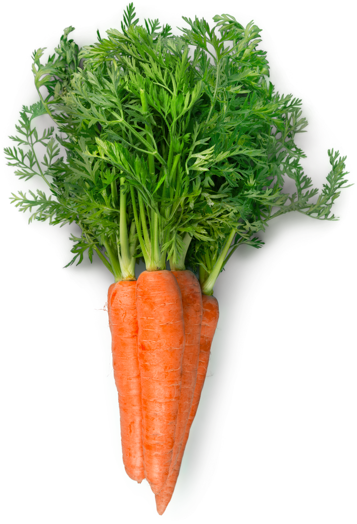 Carrots with Leaves