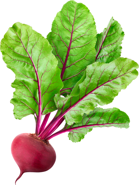 Single Beet Root