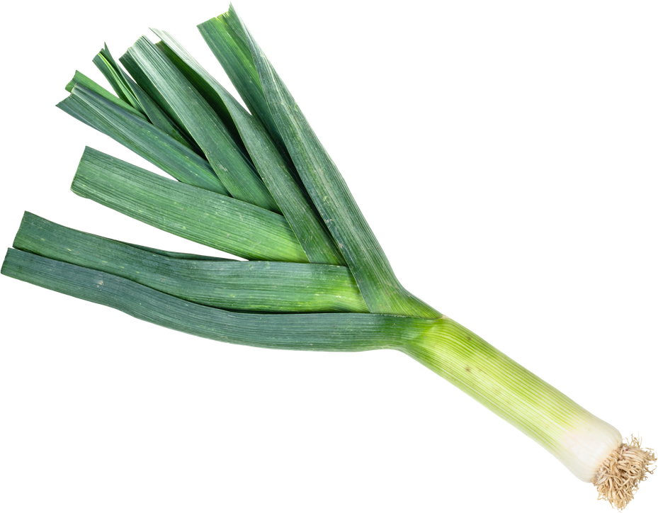 Fresh Leek Cutout 