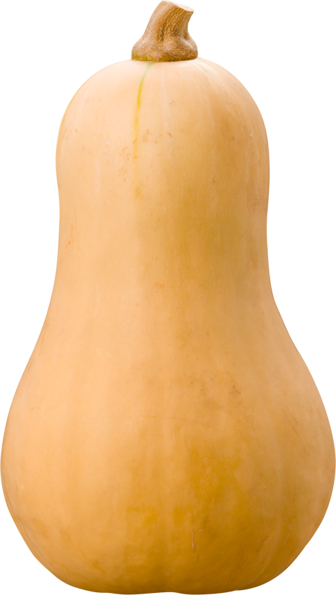 Butternut Squash