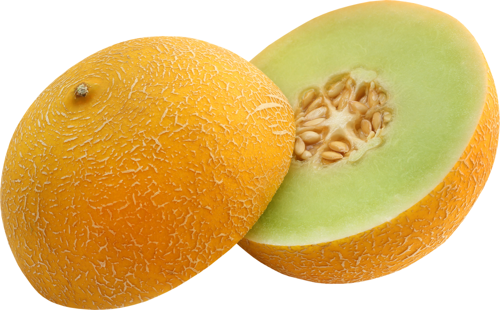 Brilliant Honeydew Melon