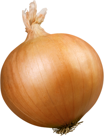 Vidalia Onion