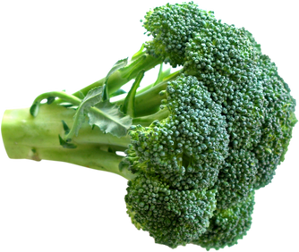 Broccoli