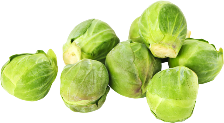 Isolated Brussels Sprouts