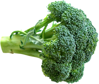 Broccoli