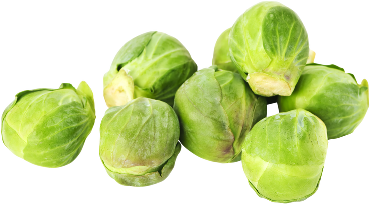 Isolated Brussels Sprouts