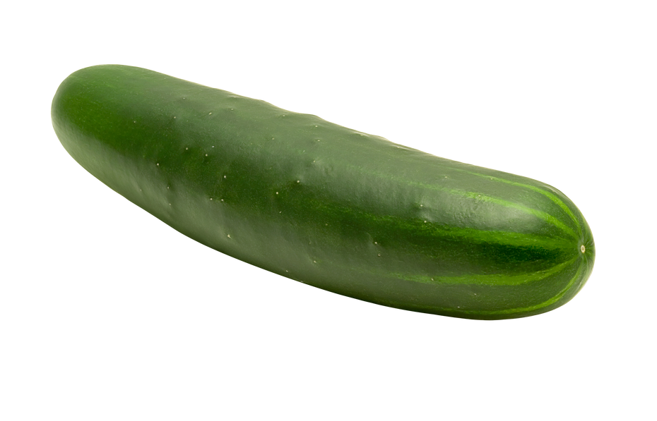 Fresh Cucumber