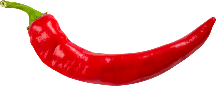 Hot Red Chili Pepper
