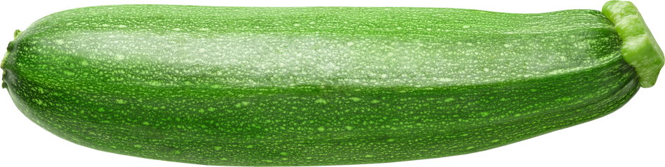 Isolated Zucchini