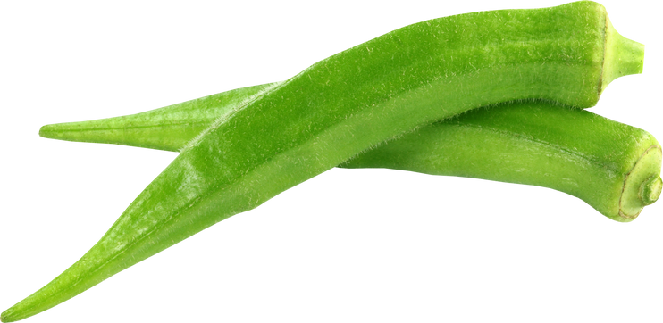 Green Okra Vegetable 