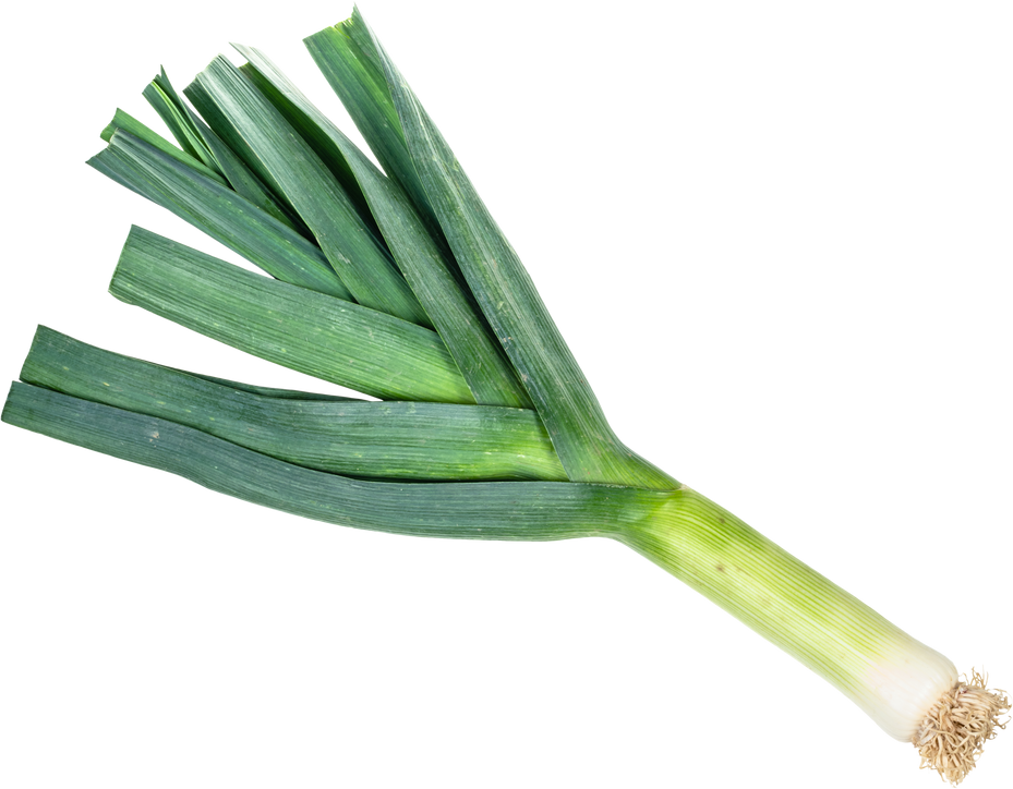 Fresh Leek Cutout 