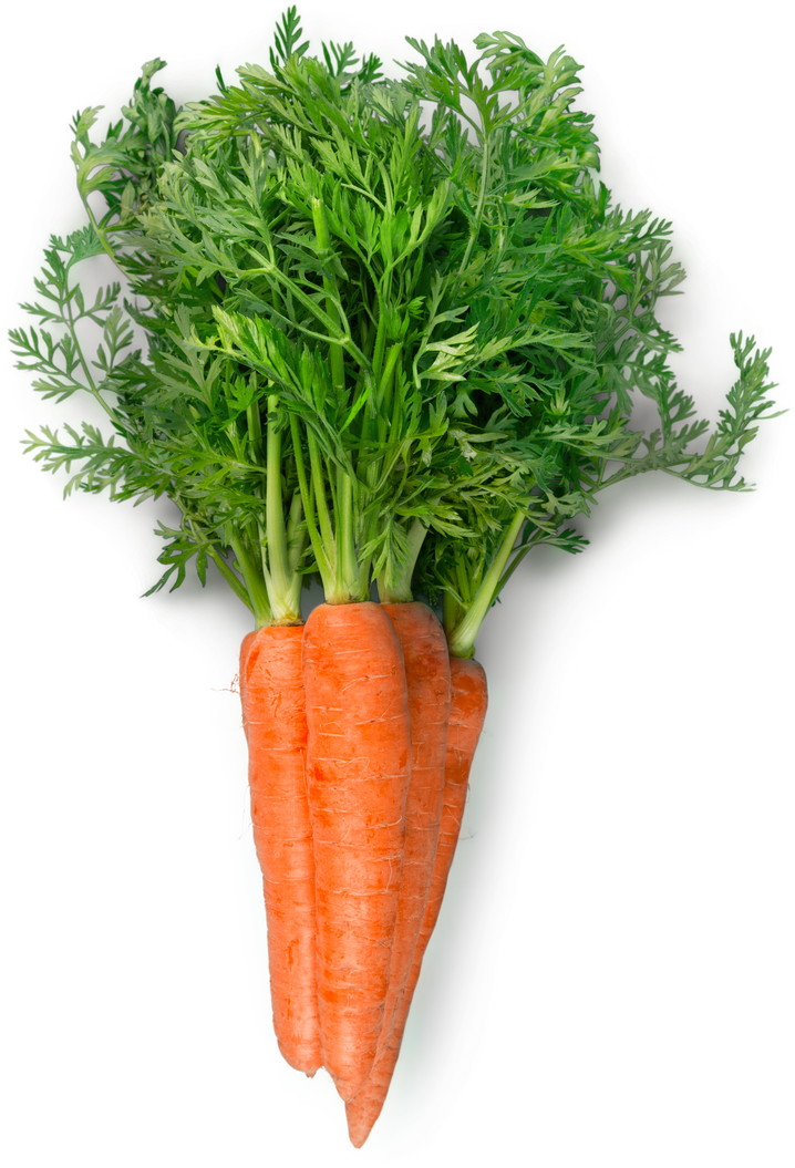 Carrots with Leaves