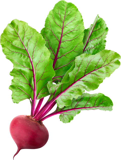 Single Beet Root