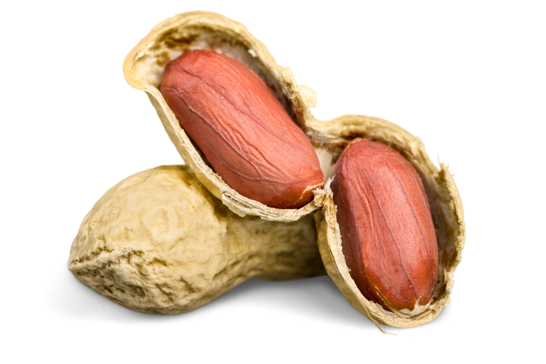 Peanuts on a White Background