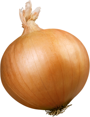 Vidalia Onion